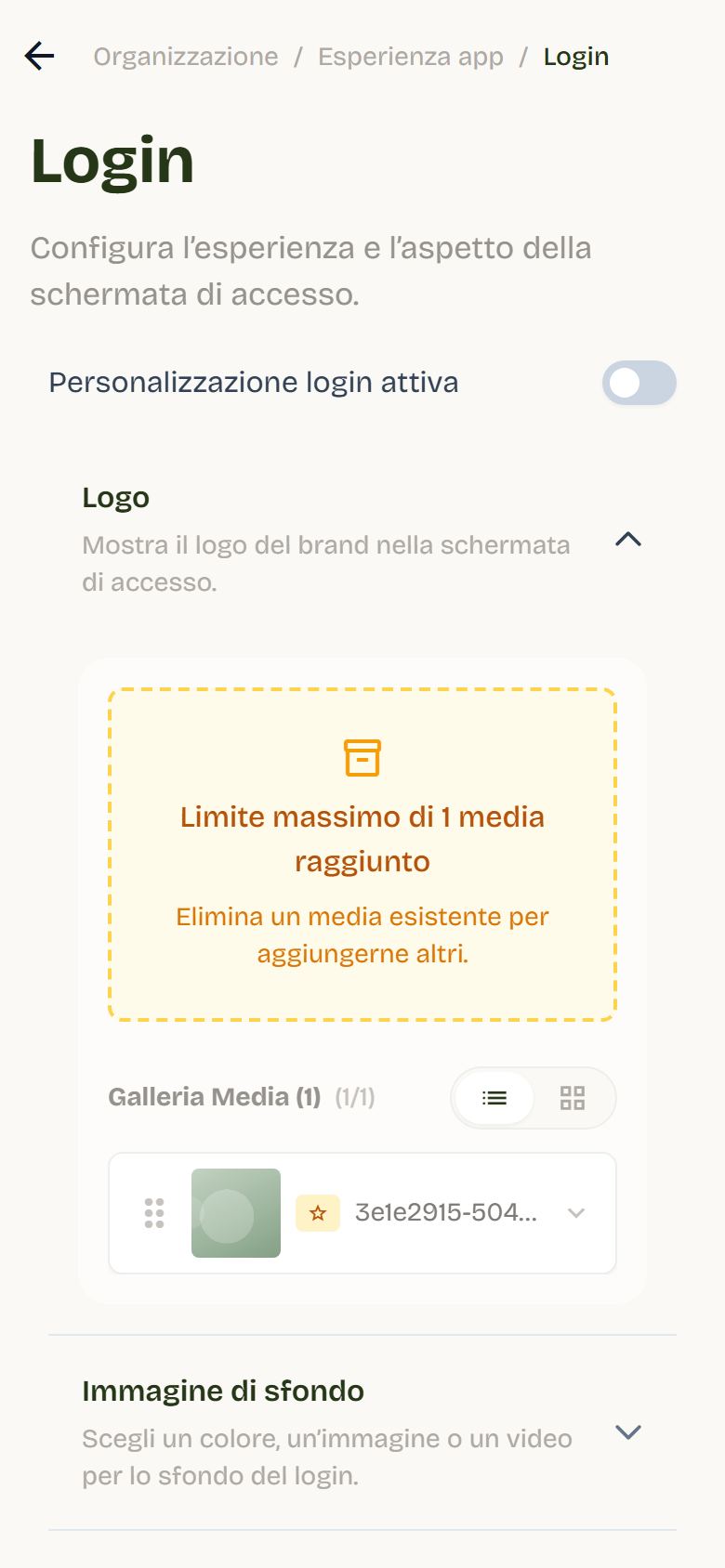 Login page with the login customization switch, the uploaded logo and the preview on the right.